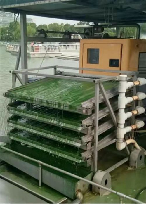 常州武进 垃圾变肥料 污水再生利用——以循环利用守护绿水青山