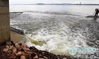 31条入滇河严禁游泳洗车，违者最高罚款500元